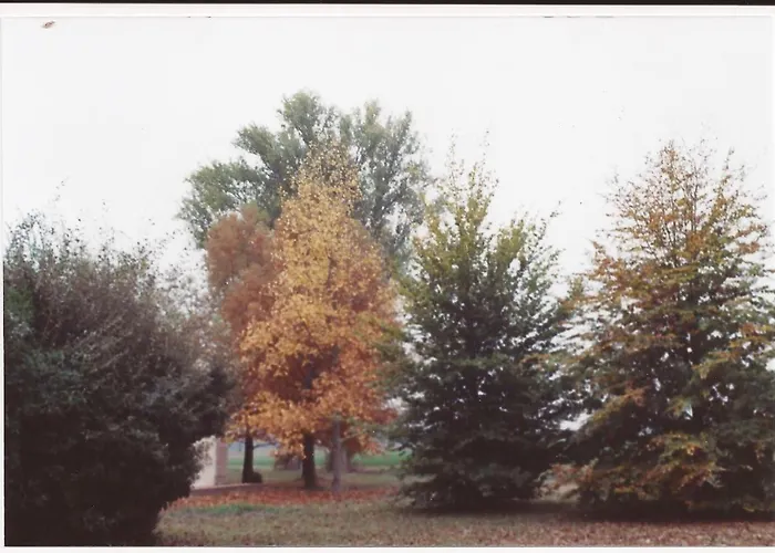 Venkovský dům Cedrara