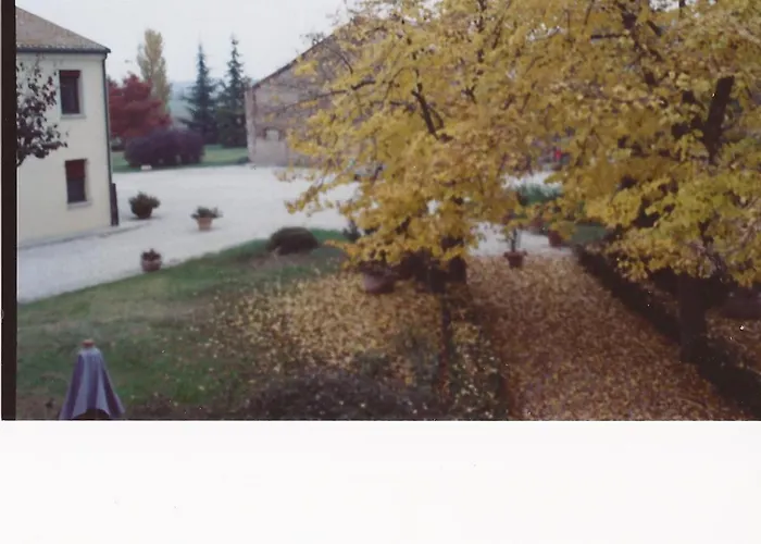 カントリーハウス Cedrara