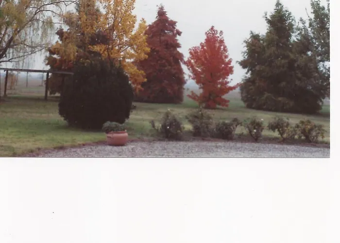 カントリーハウス Cedrara